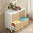 Derrin 31.5'' Wide 2 -Drawer File Cabinet-2126512361