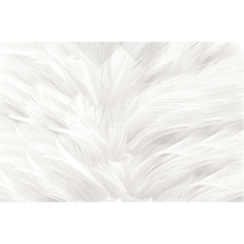 Badgett Monochrome Scandinavian Abstraction Feather Wall Mural, 98”L x 150”W