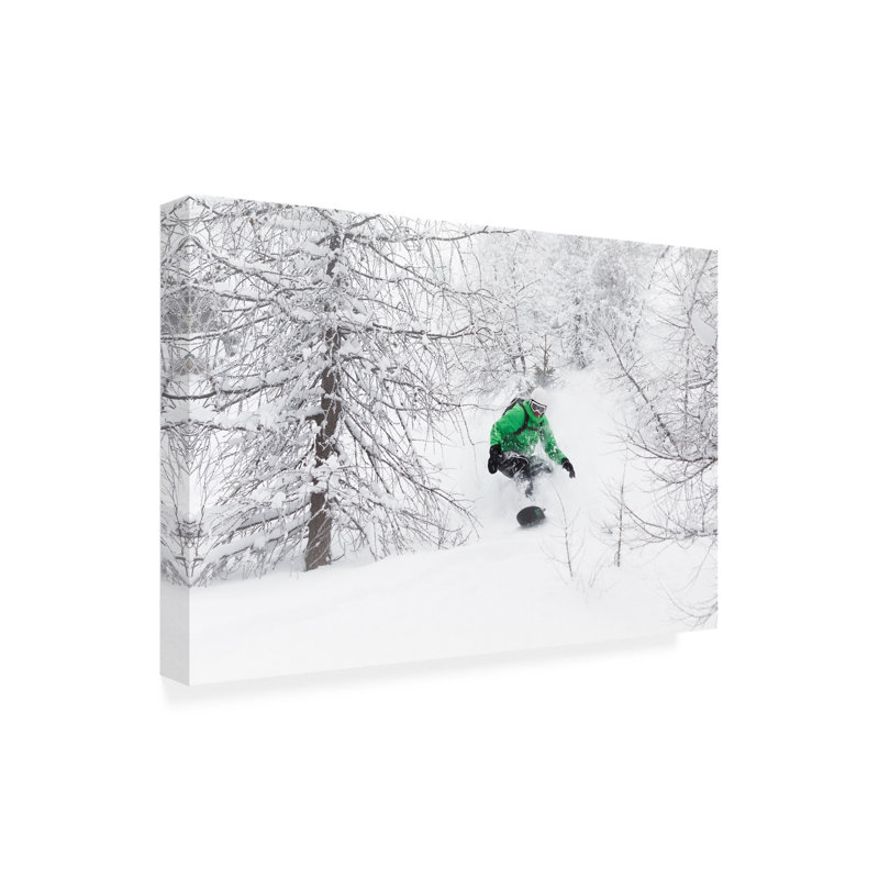 Art sur toile «rouleau Jakob Sanne», H 16 po x l 24 po