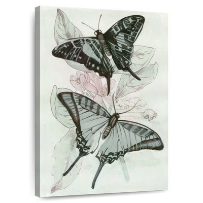 Butterfly Medley II