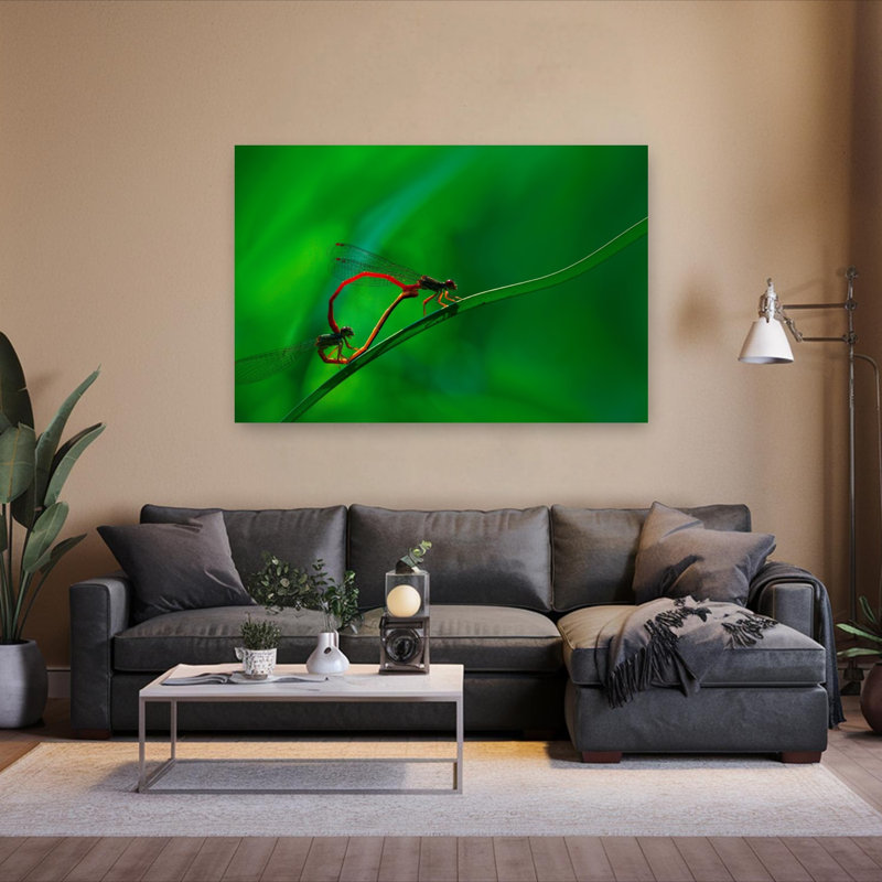 Delicate Damselfly Embrace Delicate Vibrant Dragonfly Nature Summer Wall Art Print by Jimmy Hoffman - Print