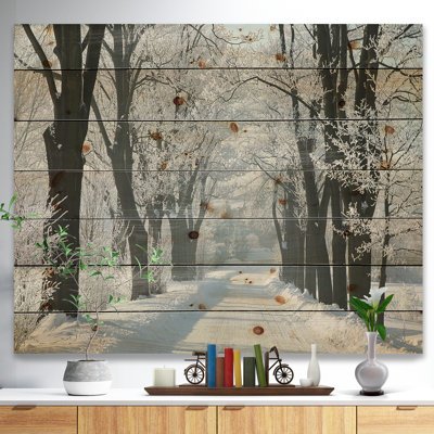 " Country Road Between Foggy Trees "