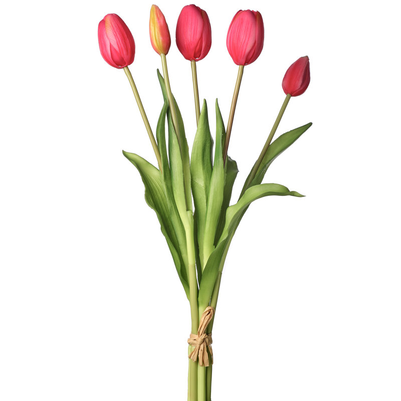 Tige de tulipe douce au toucher, Rose millennial