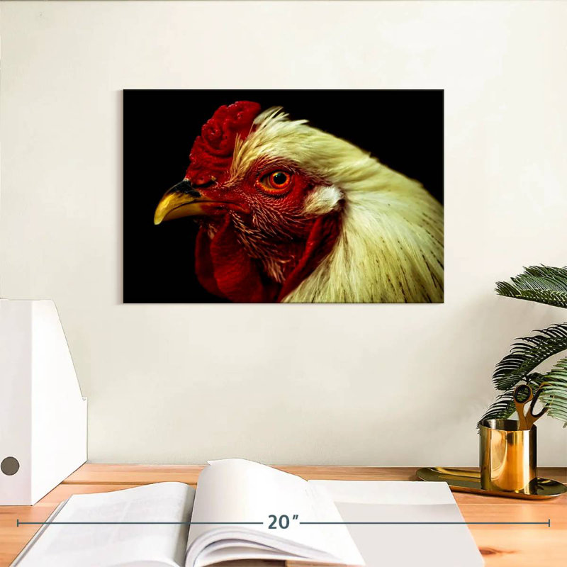 Tête de poulet Brampt, H 8 po x l 12 po