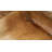 Clopton Tan Print Cowhide Area Rug-1703919942