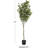 70'' Faux Eucalyptus Tree in Pot