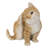 Cat Scratching Ear