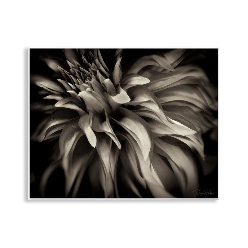 "Dark Curling Chrysanthemum", art mural par Dennis Frates