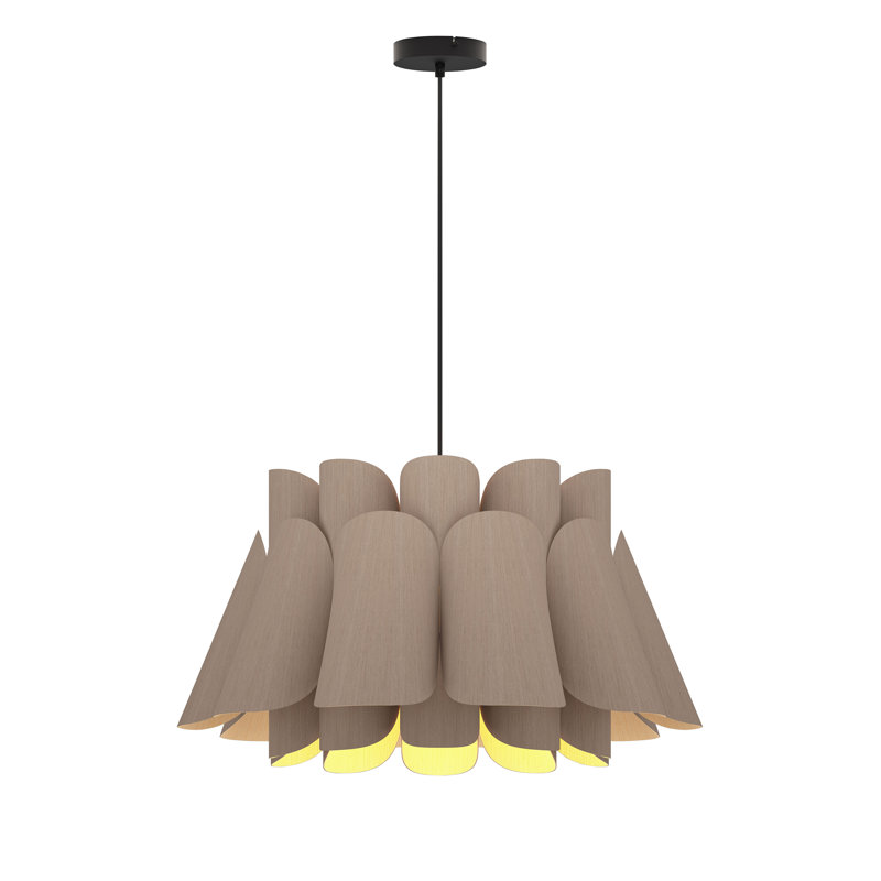 Luminaire suspendu noir 1 lumière Federica, Chêne gris