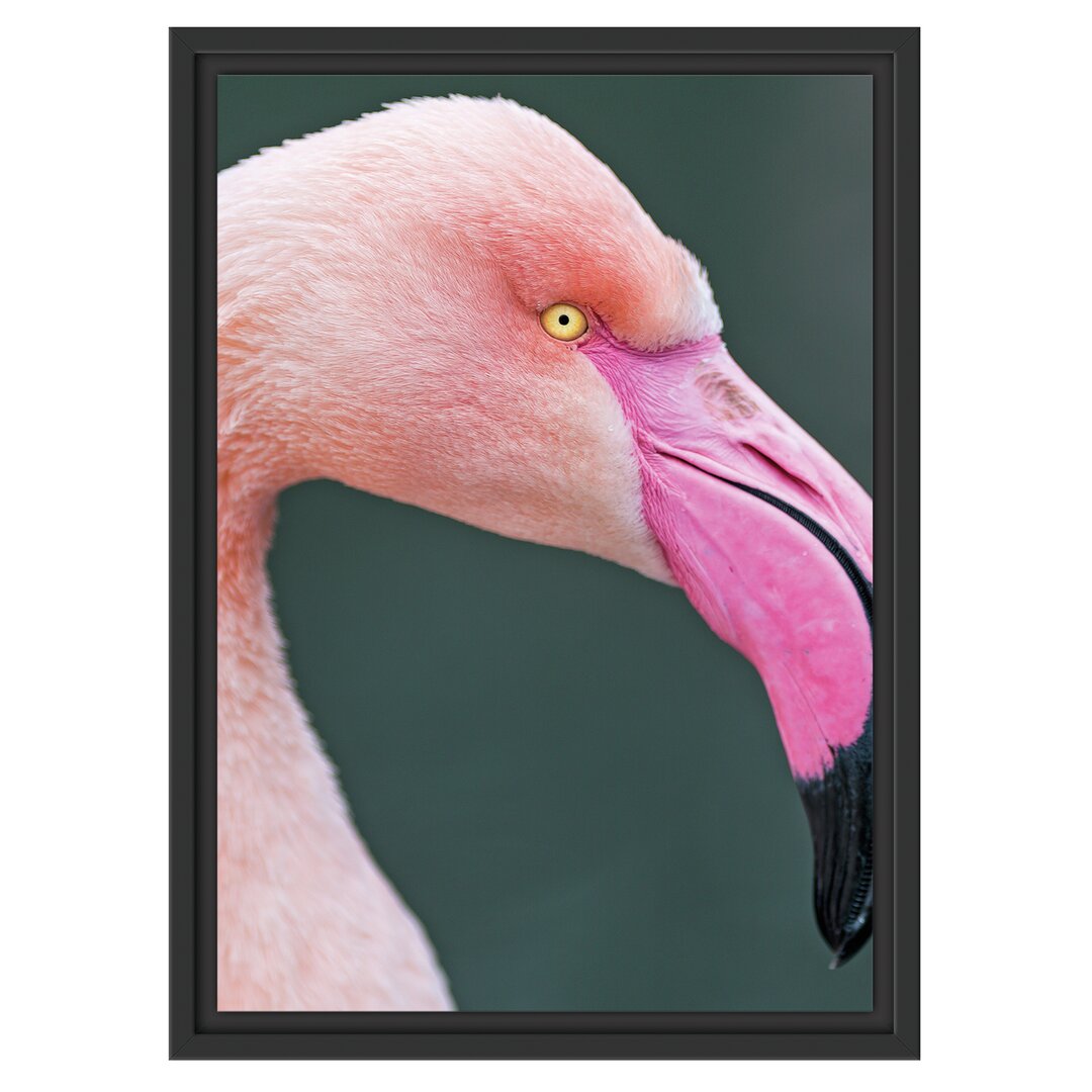 Gerahmtes Wandbild FlamingoSeitenprofil