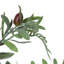 Olive artificielle 27 po en pot