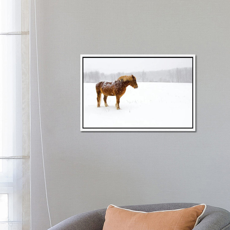 Snowbound by David Gardiner - Print on Canvas, White Framed, 66.04 cm H x 45.72 cm W