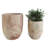 Clintondale Wood Pot Planter