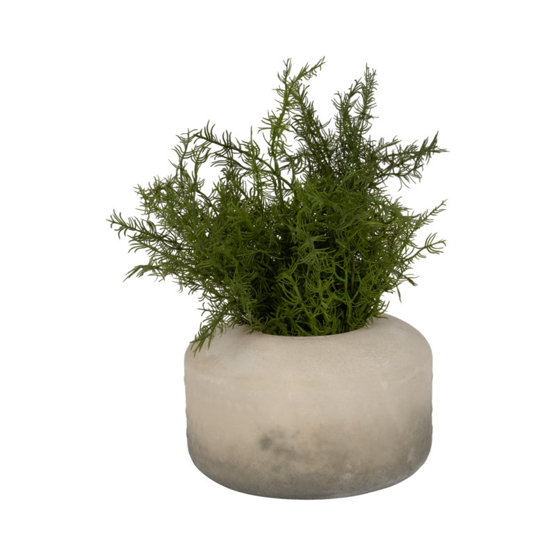 Wrought Studio ™ Elegance: vase en verre texturé deux tons, H 5 po x l 8 po x P 8 po