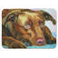 Tapis pour salle de bain Labrador
