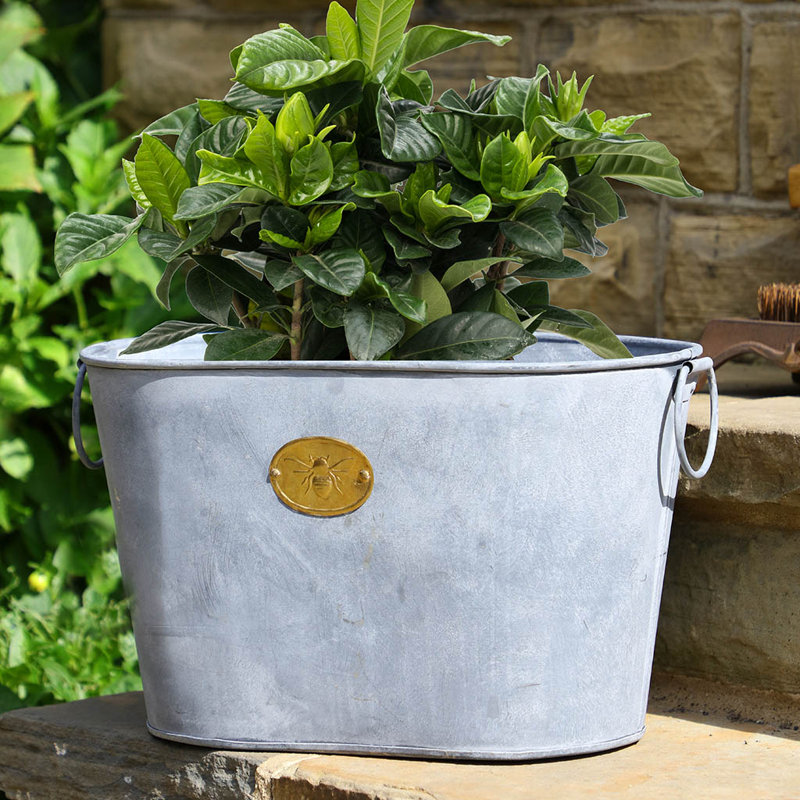 Cofer Metal Pot Planter