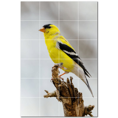 Panneau décoratif en céramique satinée Bird Photo 12 po x 12 po