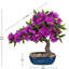 46.99cm Plant
