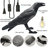  Raven Pulg in Table Lamp Gifts LED Resin Novelty Lamps Desk Light-6447997