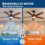 Ventilateurs de plafond de 42 pouces / 52 pouces avec lumières et télécommande - Moteur CC silencieux de qualité supérieure avec 6 vitesses réversibles, DEL à intensité variable 3CCT et lame à double finition pour le salon / la chambre à coucher, utilisation intérieure / extérieure