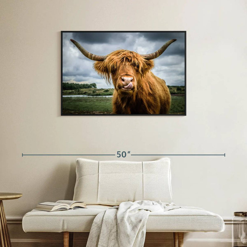 Brampt Silly Highland Cow, H 25 po x l 37 po