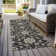 Machine Washable Indoor/Outdoor Segin ACN1149 Black Rug