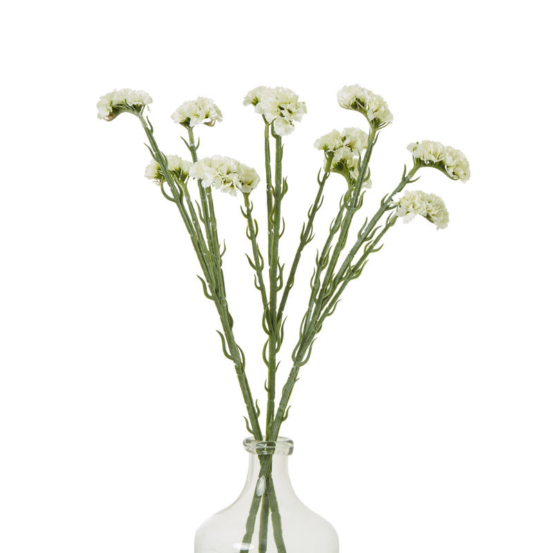 Anastasija Arrangement