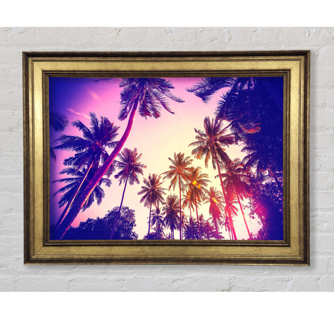 Palm Tree Glow - Bilderrahmen Kunstdrucke