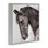 «King Monochromatique Horse», art de la giclée par Kim Allen