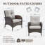 Chaise d'extérieur en osier avec coussins Braxleigh (ensemble de 2)-799464353-799464367