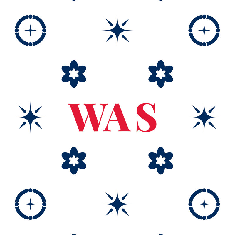 Coussin d'extérieur soufflé et fermé Washington, Blanc, rouge, bleu, Washington