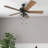 Socorro 52" Ceiling Fan with LED Light-1292136304