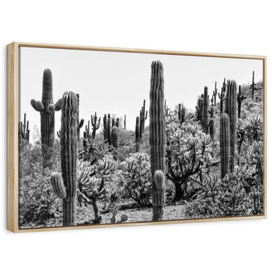 Arizona noir - Cactus étonnant I