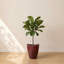 Pot à fleurs rond Vinisha ECOBO EcoFriendly-928914531-929206497