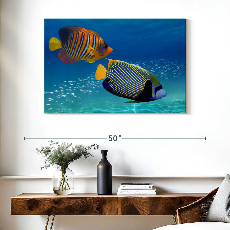 Exotic Emperor Angelfish, 26" H x 39" W