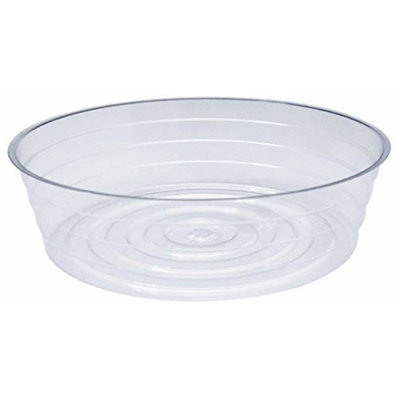 Saucer Plant Stand