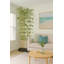 Silk Bamboo Tree in Planter