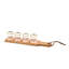 Rosy Check Flight Board-1141928845