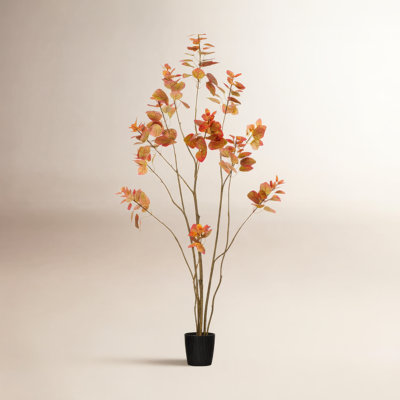 Hather 60" Rogot Rurple Tree in Pot