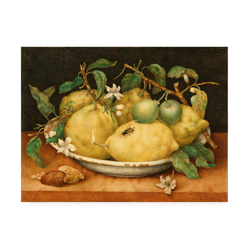 «Still Life with Bowl of Citrons» par Garzoni, reproduction sur toile tendue, H 35 po x l 47 po x P 2 po