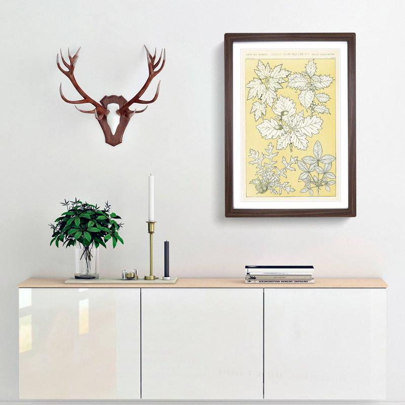 Leaves from Nature No. 5 by Owen Jones - Picture Frame Painting Print, 87cm H x 62cm W x 2cm D, Walnut Framed