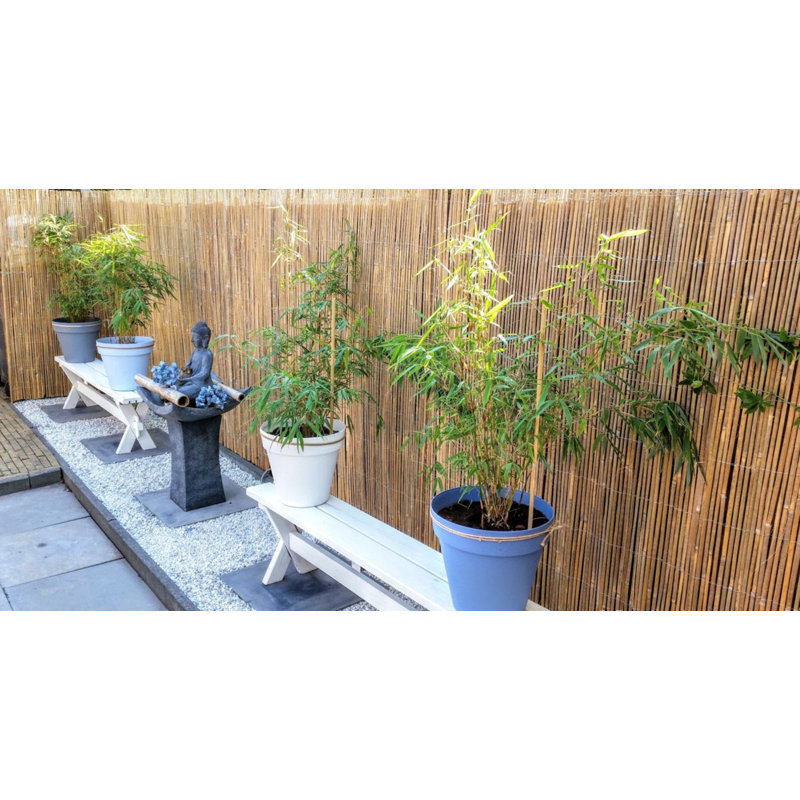 Bamboo Rolled Fence Panel, 72" H x 168" W