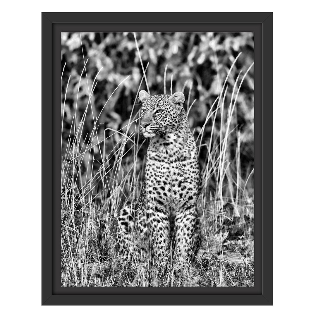 Gerahmtes Wandbild anmutiger Leopardhohen Gras