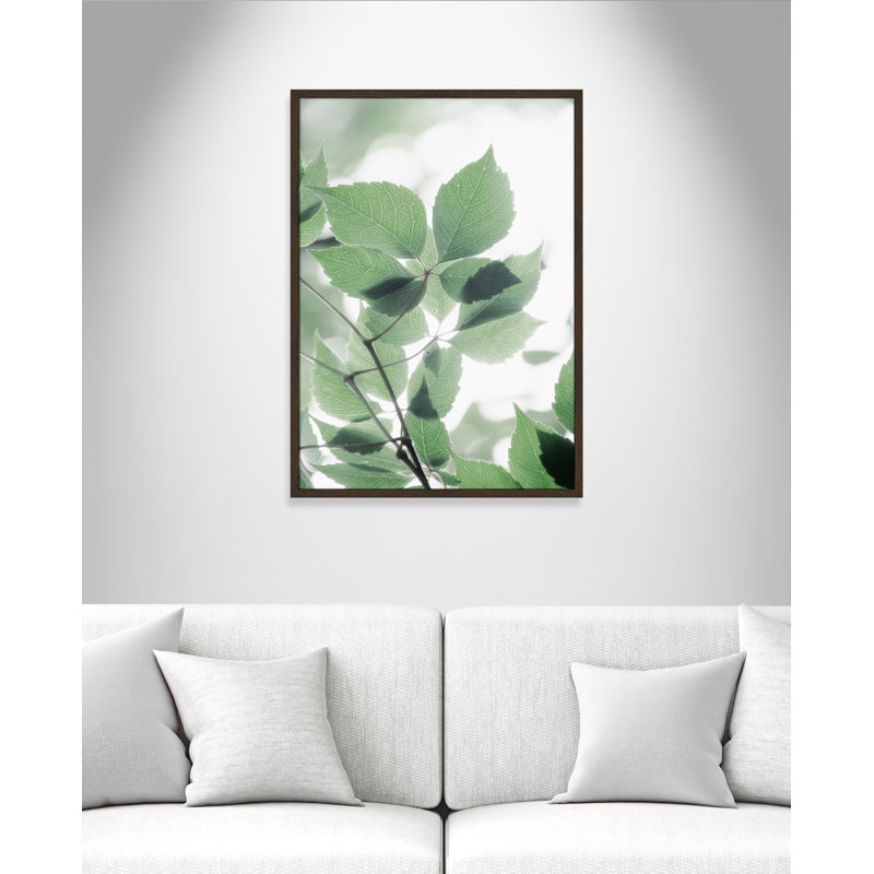 Fields of Greens Fields of Green II - cadre photo, impression, H 35,5 po x l 25,5 po x P 0,75 po, Cadre noyer