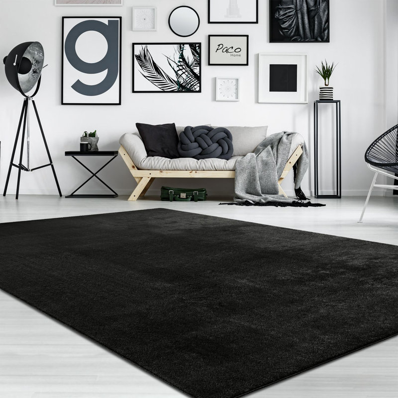 Soft Area Rug Cozy Low-Pile Rug Anti-Slip Solid Color Washable, Rectangle 3'11" x 5'7", Black