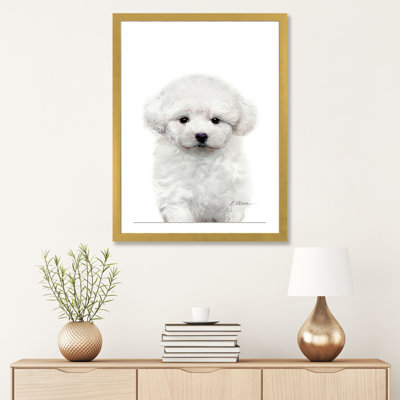 " Bichon Frise Puppy " Painting