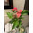 Primrue Burt Live Anthurium Plant in Metal Pot