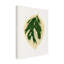 Art sur toile, "Les Plantes A Hydrangea Japonica Variegata"-103094805