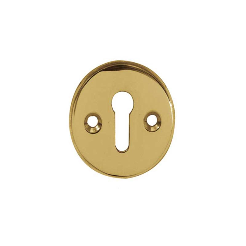 Escutcheon Door Accessory, Polished Brass