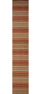 Striped Area Rug in Brown/Red
